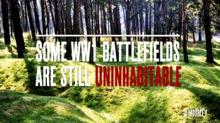 Military Insider | WWI Battlefields