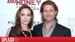 Brad Pitt and Angelina Jolie Had a Prenup, Should Help with Their $400 Million Split