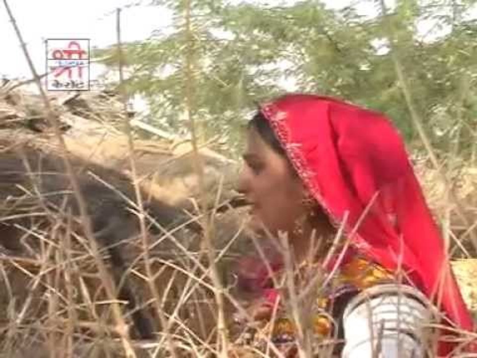लागि यार तोसन यारी - पारहे रो पंखिडो ( राजस्थानी )