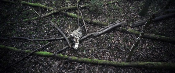 PELNU SANATORIJA filmas treileris