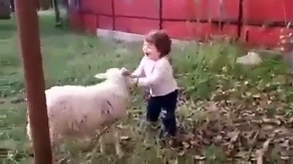 UN MOUTON  JOUE AVEC UNE PETITE FILLE