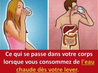 Ce qui se passe dans votre corps lorsque vous consommez de l'eau chaude dès votre lever