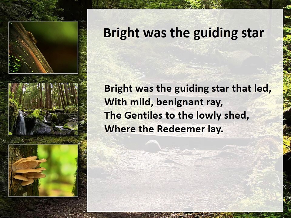Christmas Song Lyrics Bright was the guiding star