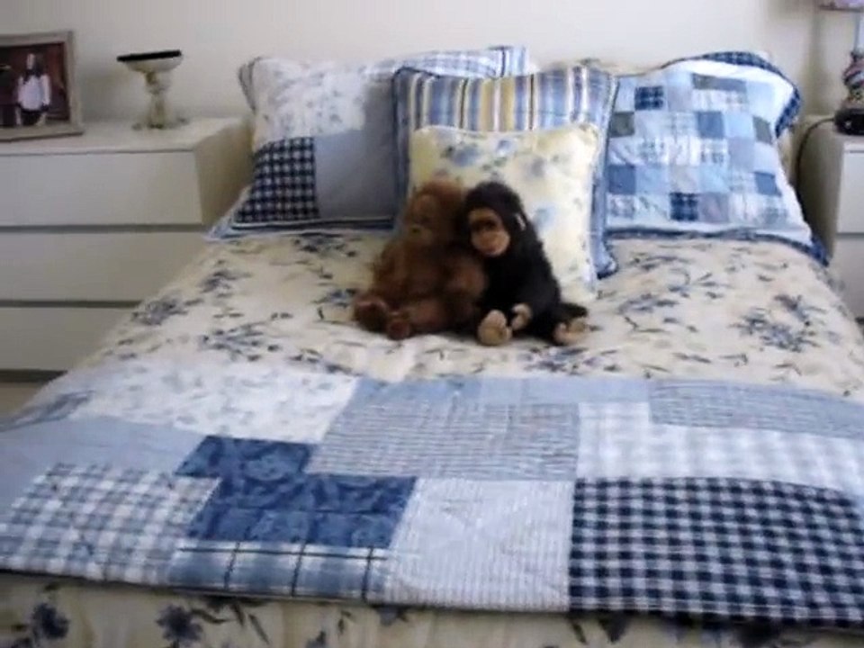 Pugs frightened by Monkey