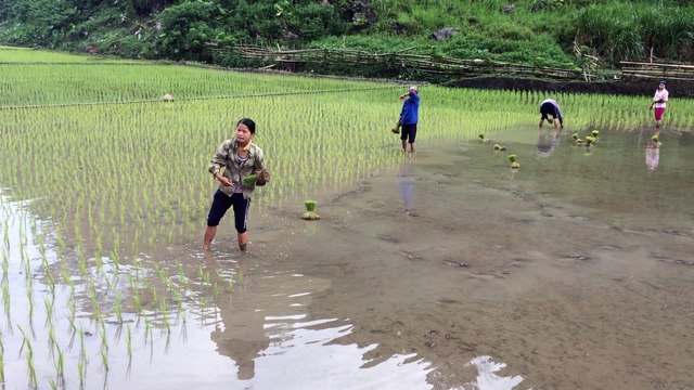 Voyage hors des sentiers battus avec agence de voyage locale au Vietnam. Http://aventure-vietnam.com