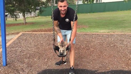Cet homme fait tout avec son Kangourou son meilleur ami