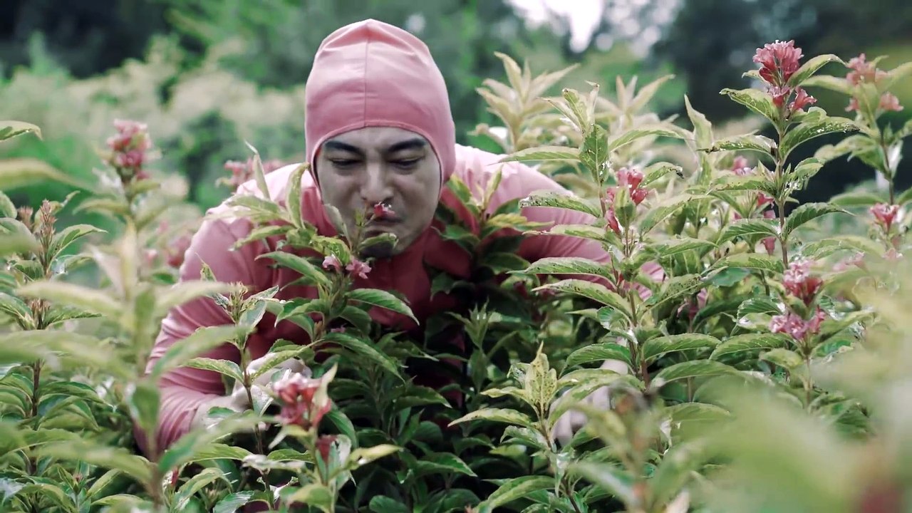 Chanson "ferme ta gueule" en clip avec un mec en rose qui court.. WFT