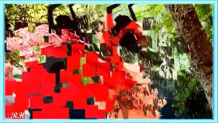 DANA  WINNER    ╭❤╮ REGEN VAN GELUK     ╭❤╮-pUpgGtRtInc-HQ