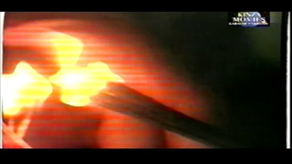 Aa Merey Pyare Hussain Nadeem Sarwar 2000-2001 to 2016