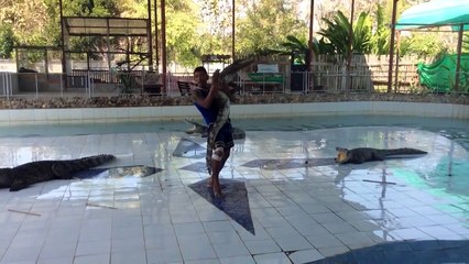 Ce taré danse avec des crocodiles!