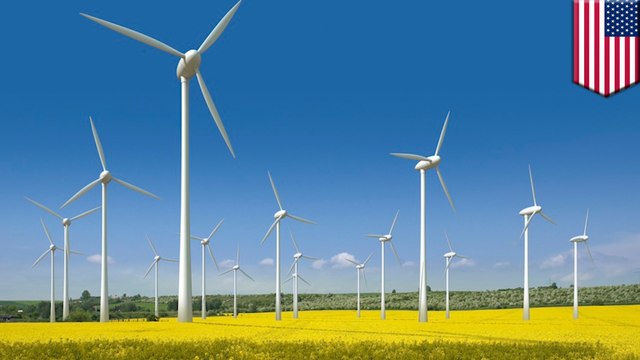 อเมซอนสร้างฟาร์มลม ผลิตพลังโดยกังหันยักษ์ 100 ตัว