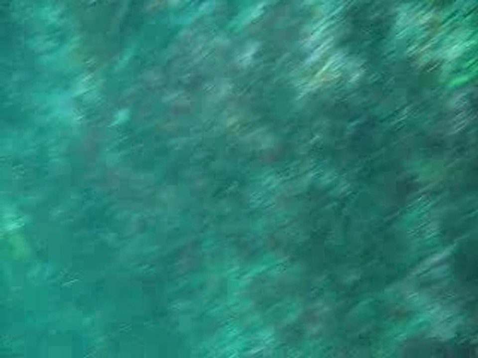 Diving Kerroch