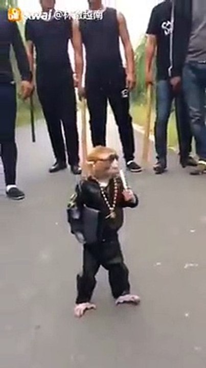 Little don came And upon all