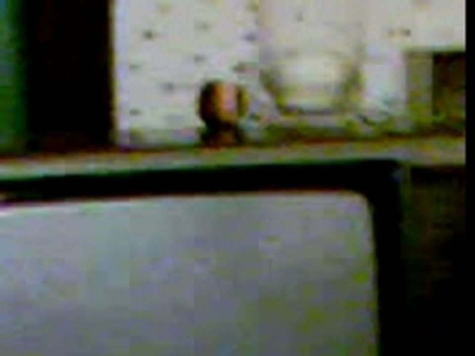 Le Studio
