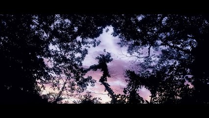 Bande-annonce DUST