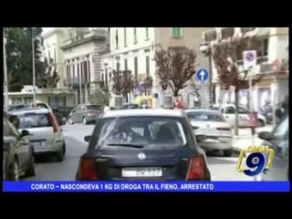 CORATO ~ NASCONDEVA 1 KG DI DROGA TRA IL FIENO, ARRESTATO