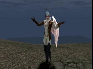 Lineage 2 Kamael - Male Emotions