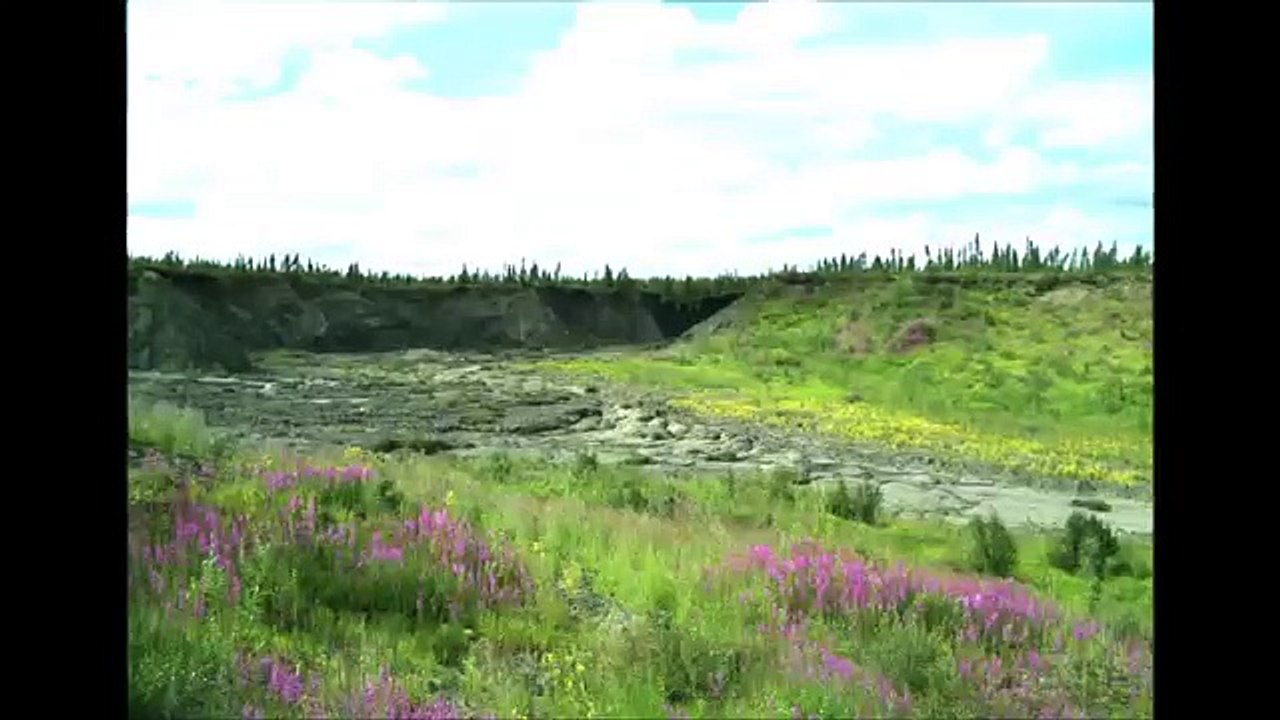 Thaw slump and lake drainage near Fort McPherson, NWT, Canada
