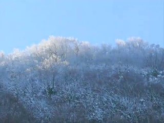SARI GELIN - SKRUK  - LANDET VI KOMMER FRA