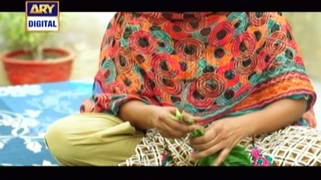 Watch Mein Mehru Hoon Episode 49 on Ary Digital in High Quality 27th September 2016