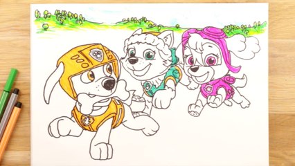 1, 2, 3… Coloriage | Episode 109 (EN INTEGRALITE) | NICKELODEON JUNIOR