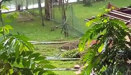 অপারেশন থান্ডারবোল্ট জীবনের ঝুকি নিয়ে এক কোরিয়ান নাগরিক তার বাসার বেলকনি থেকে দৃশ্য ধারণ করেন