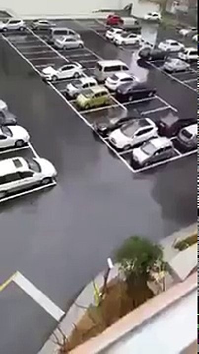 Her husband forgot to bring lunch.