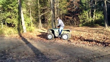 Grizzly Stunt