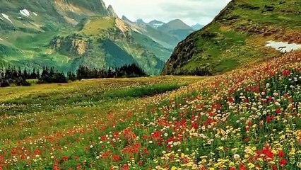 Michel Pépé Music Channel Presentation Video-56WZgjPnbhY-HQ