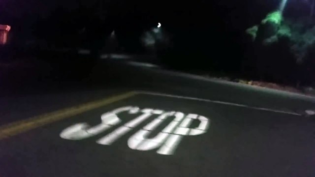 Il sauve un putois sur la route la nuit sans peur de l'odeur !