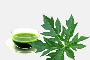Papaya leaf juice