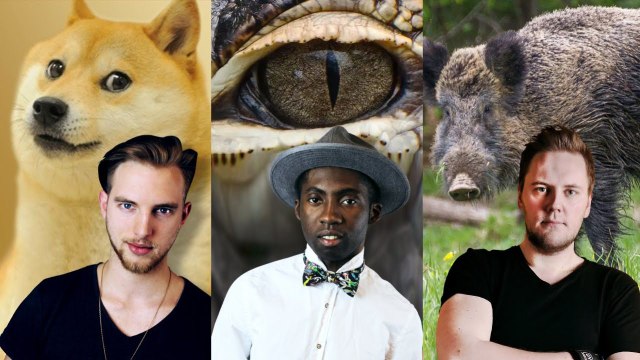 Nasze największe PRZYPAŁY ze ZWIERZAKAMI [PONKI SOCIAL]