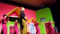 Nargis Punjabi Mujra And Dance Medley By One