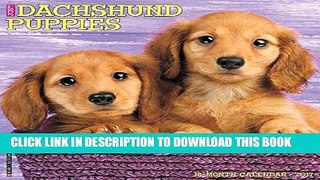 Just Dachshund Puppies 2017 Wall Calendar Hardcover