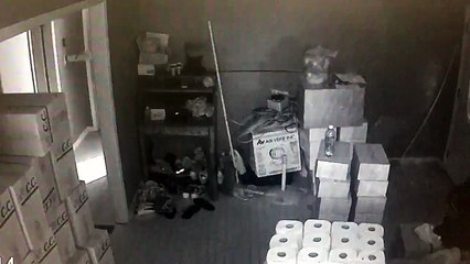 Une femme armée très courageuse chasse des cambrioleurs