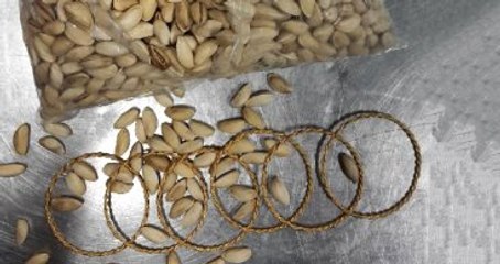 Alman Gümrük Dairesi: "22 Ayar Fıstık" Yakaladık