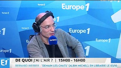 Bernard Werber : avec "Les Fourmis", "je cherchais le sujet le plus bizarre"