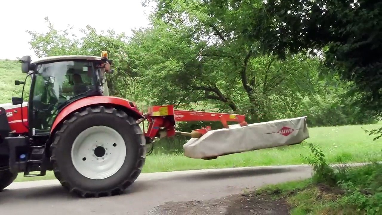 Big Harvester in Nature