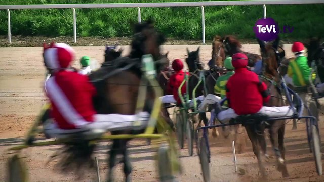 180 ans de trot à Cherbourg en Cotentin