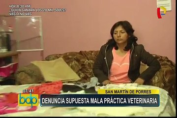 SMP: mujer denuncia supuesta mala práctica veterinaria