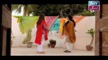 Haal-e-Dil Ep 15 on Ary Zindagi in High Quality 27th September 2016