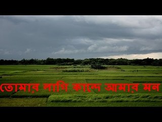 তোমার লাগি কান্দে আমার মন