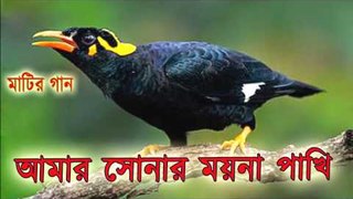 Bangla Song - আমার সোনার ময়না পাখি - OSMAN KHAN.