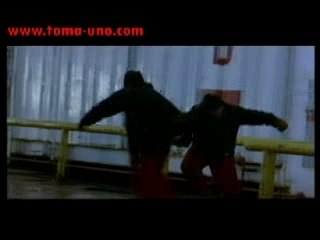 La Vida secreta de las Palabras