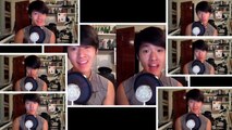 You Belong With Me   Taylor Swift ACAPELLA COVER Matthew James Hemmer