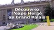 VIDEO. Découvrez l'expo Hergé au Grand Palais